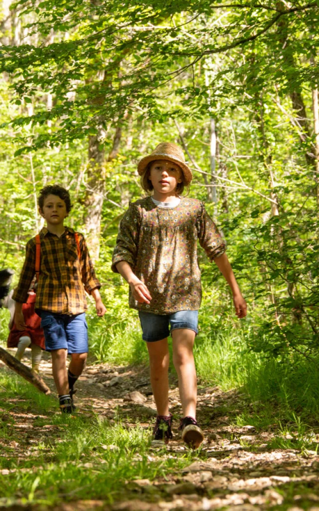 Balade avec son chien en forêt