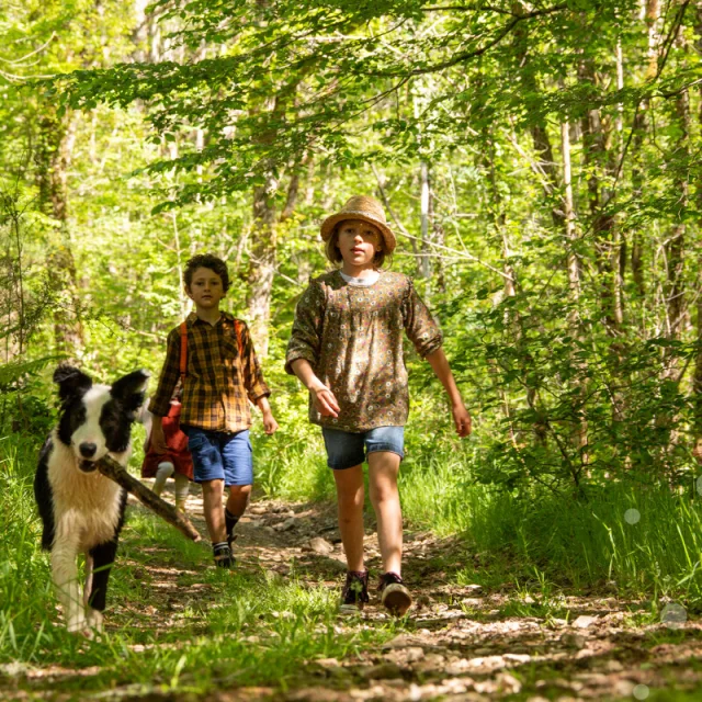 Balade avec son chien en forêt