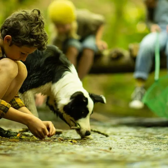 Balade Pleine Nature Chien Malika Turin.jpg 1920px