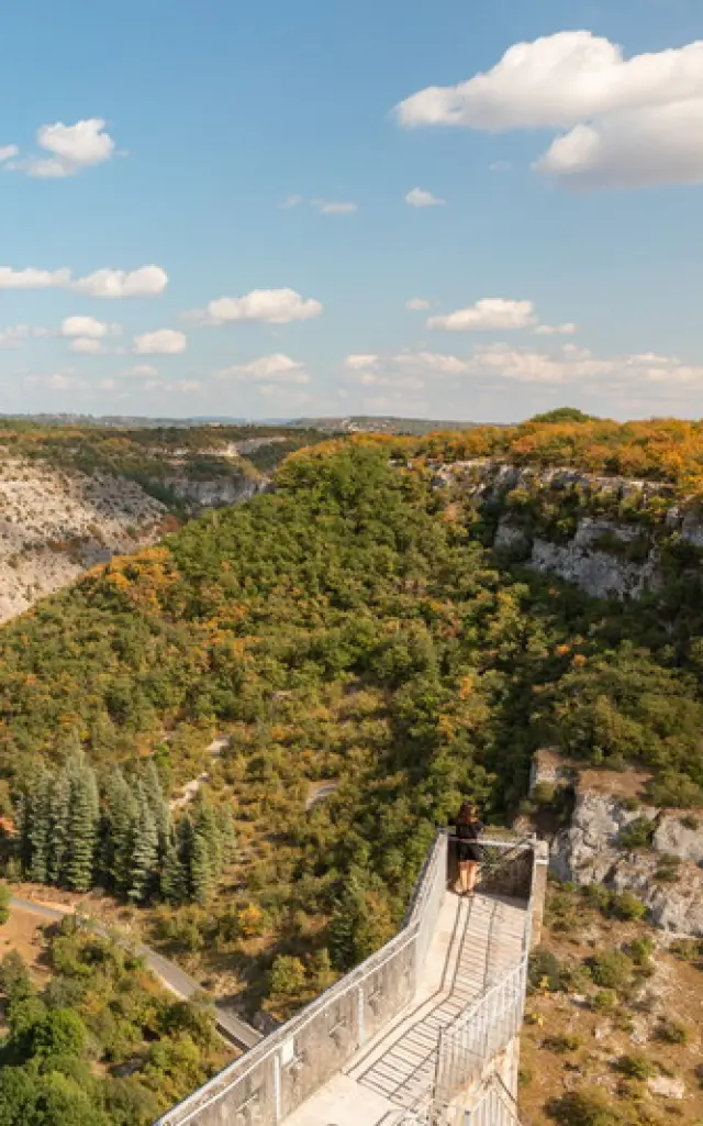 Vue sur le canyon de l'Alzou depuis les remparts du Château