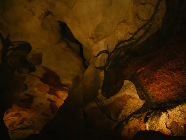 1517 Grotte De Lascaux Les Conteurs