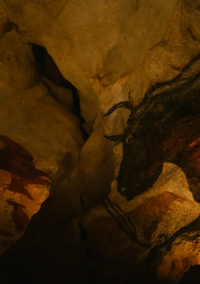 1517 Grotte De Lascaux Les Conteurs