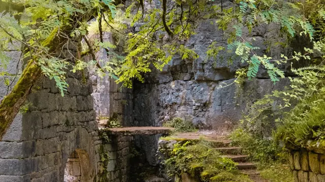 Les vestiges du Moulin du Saut, nichés dans leur écrin de verdure
