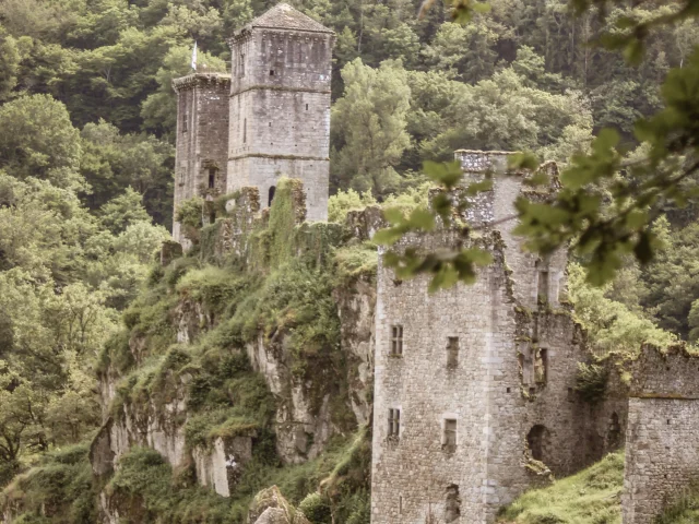 Les Tours de Merle