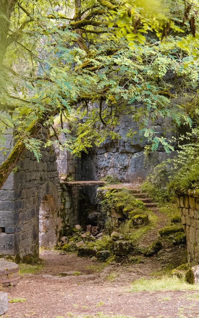 Les vestiges du Moulin du Saut, nichés dans leur écrin de verdure