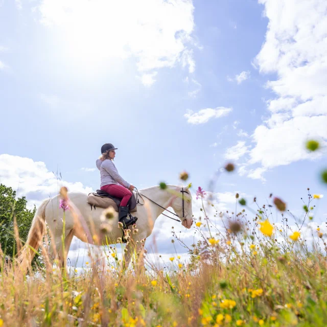 Randonnée à cheval