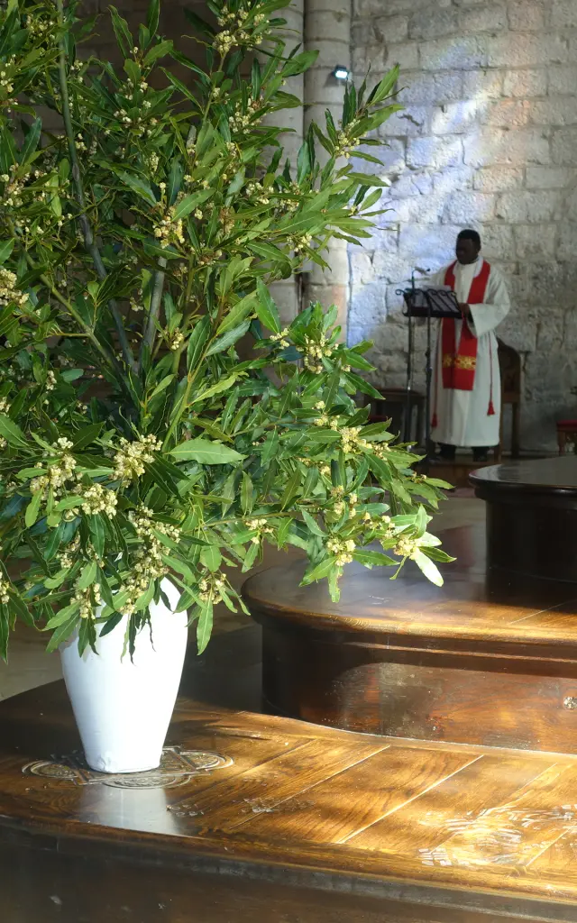 Rameaux Sanctuaire De Rocamadour