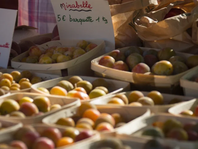 Gastronomie Marche Bio Beaulieumalikaturin 00008