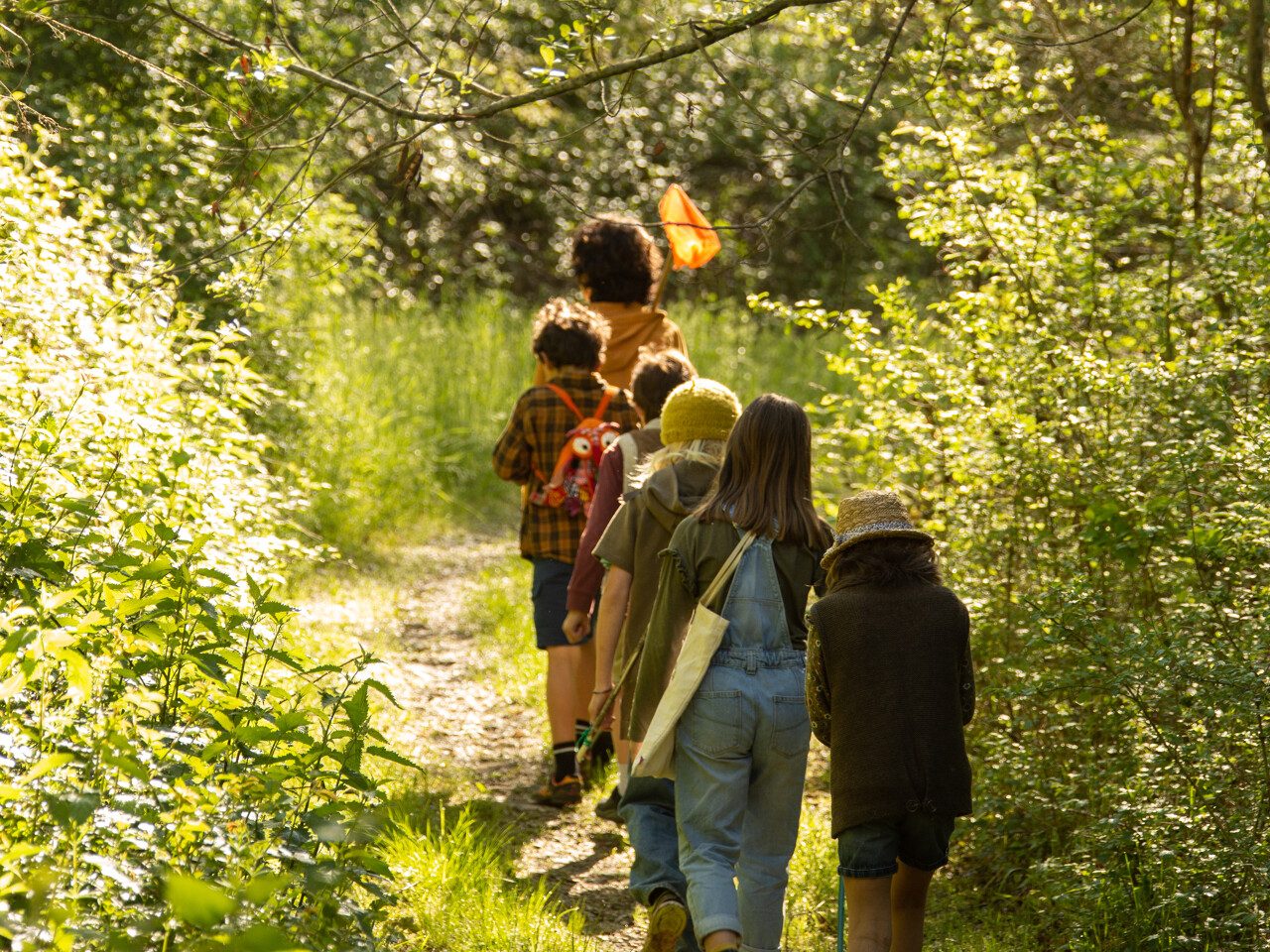 Balade entre copains en pleine nature