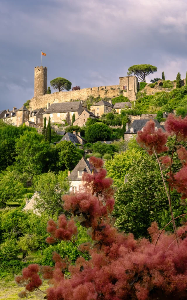 Château de Turenne