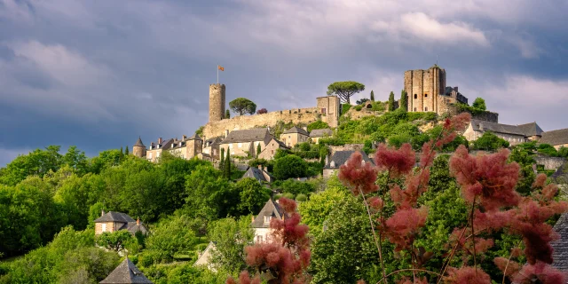 Château de Turenne