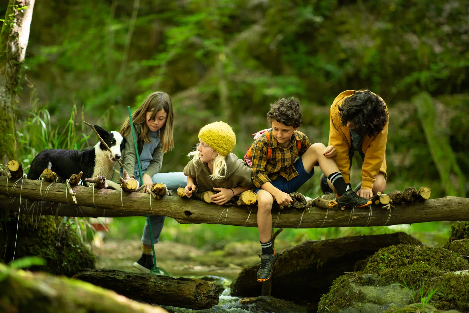 Balade en forêt avec les copains