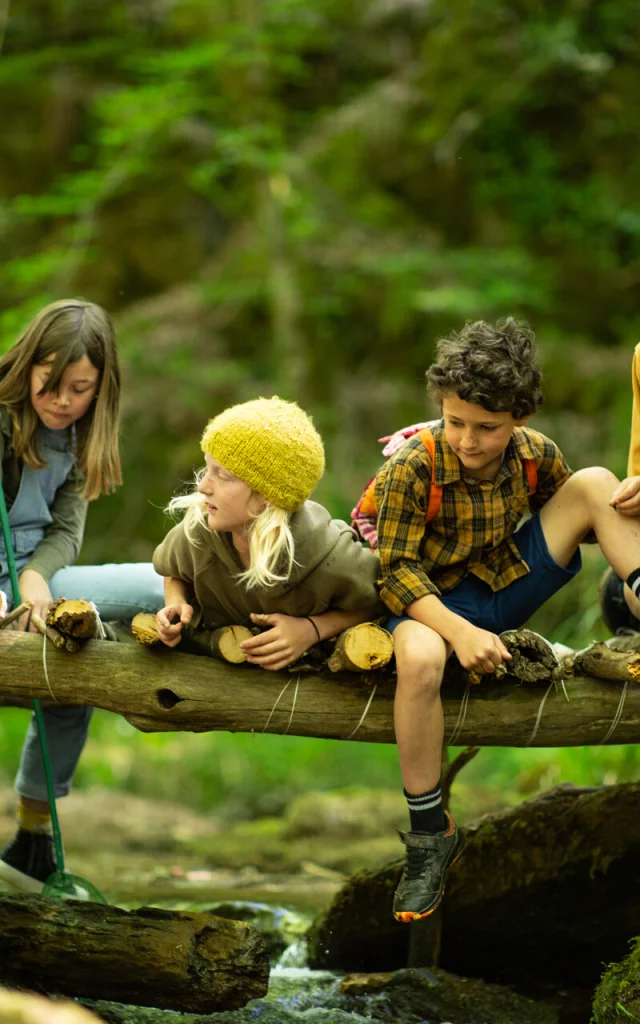 Balade en forêt avec les copains