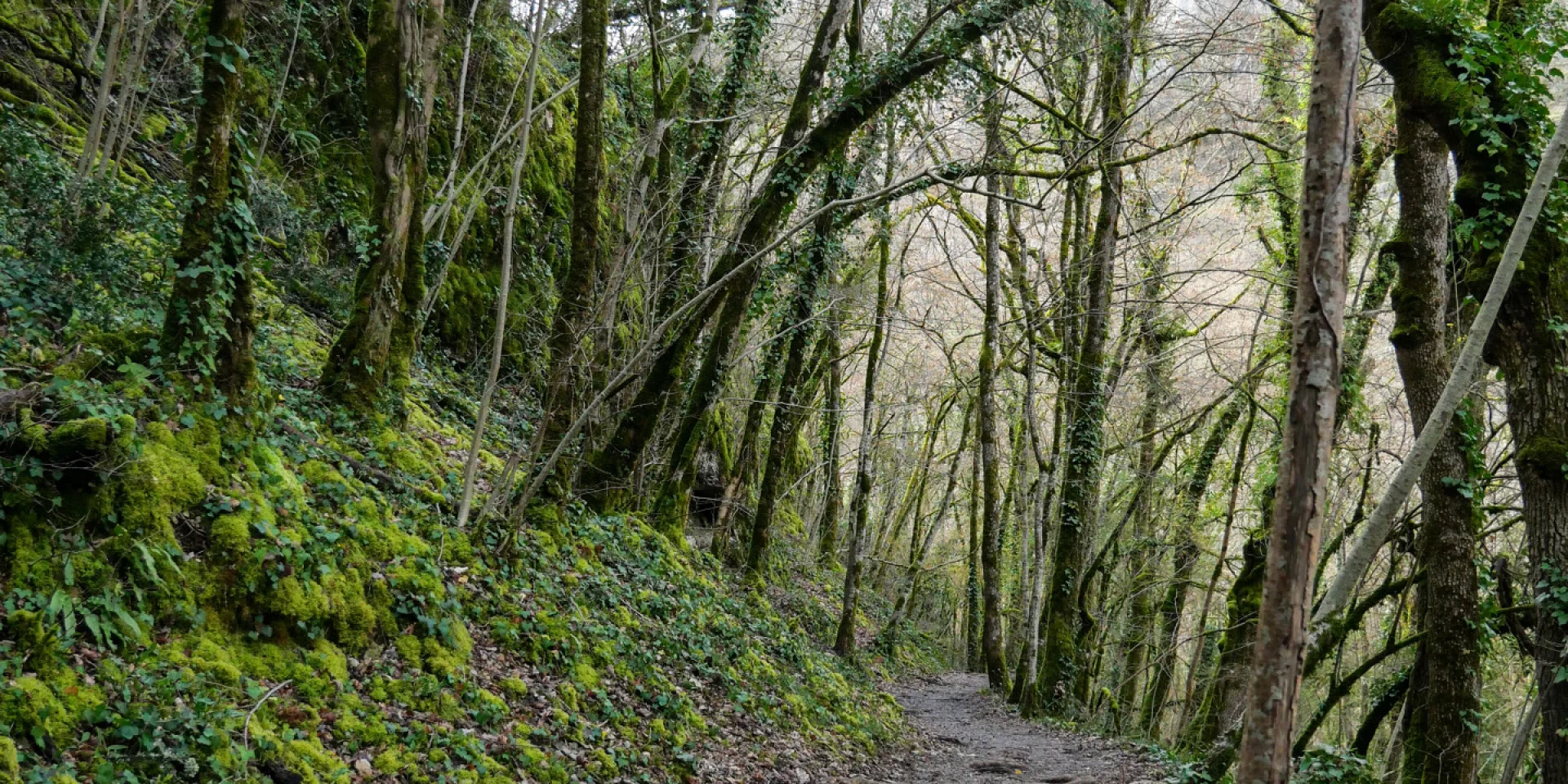 Circuit de la reculée d'Autoire
