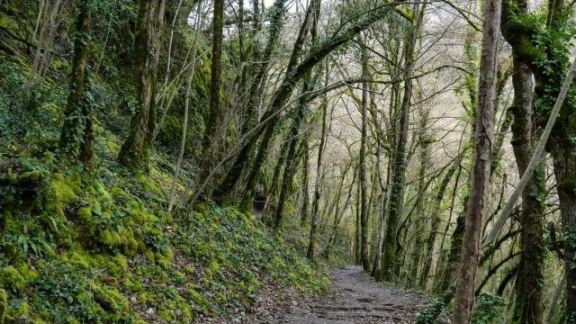 Circuit de la reculée d'Autoire