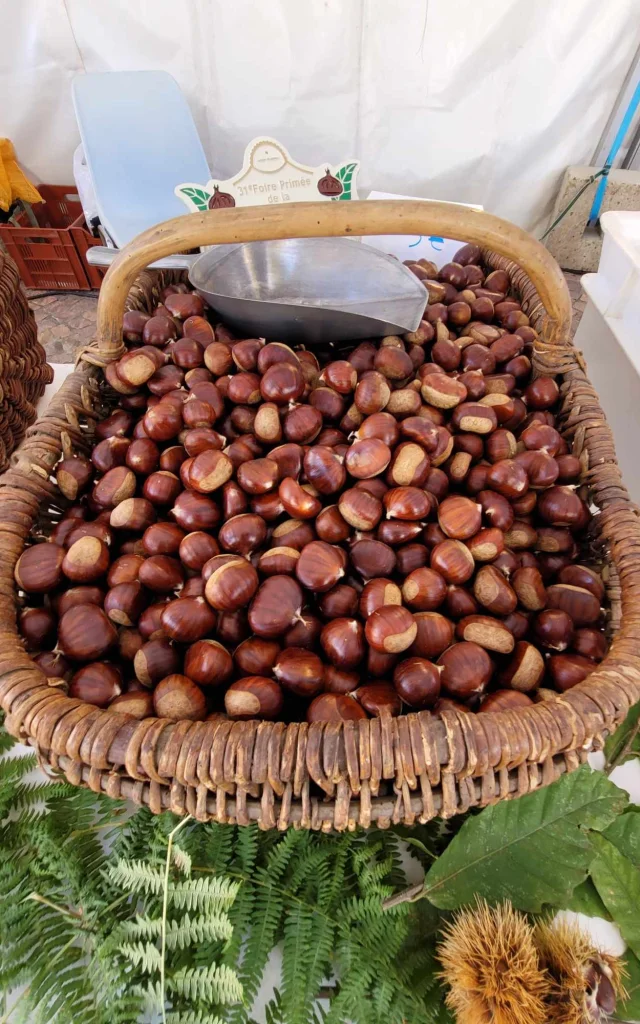 Foire A La Chataigne Et Au Marron De Beynat Correze 19 Octobre 2025