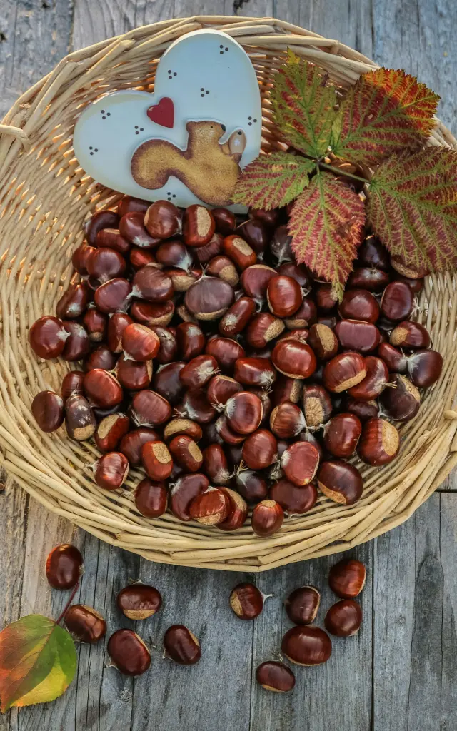 Panier De Châtaignes