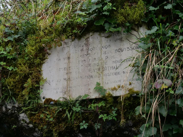 Plaque