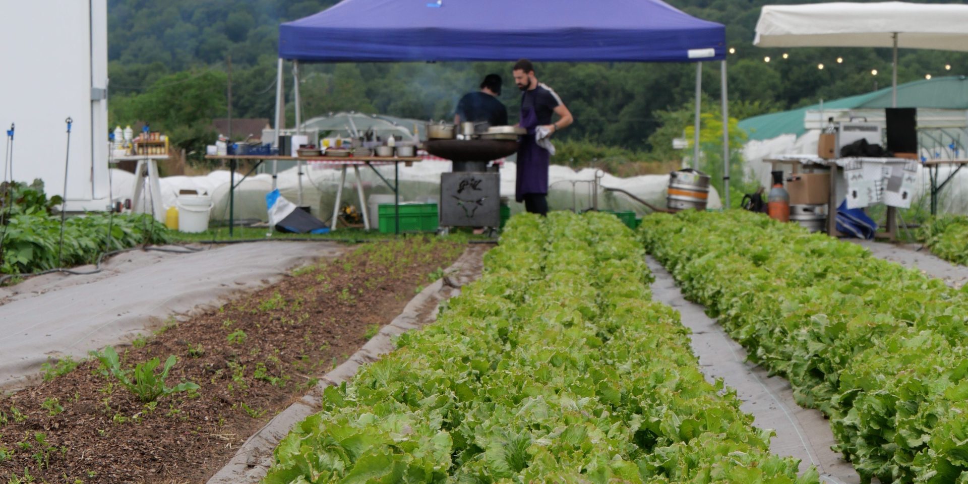 Cuisine Du Jardin à l'Assiette
