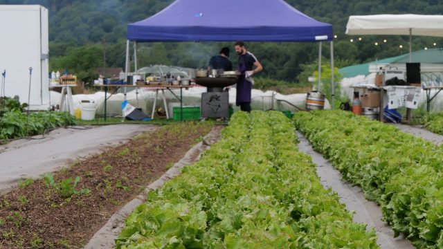 Cuisine Du Jardin à l'Assiette