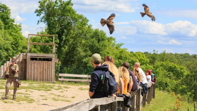 Le Rocher Des Aigles 4 Nicolas Barbarin Atelier Castanea