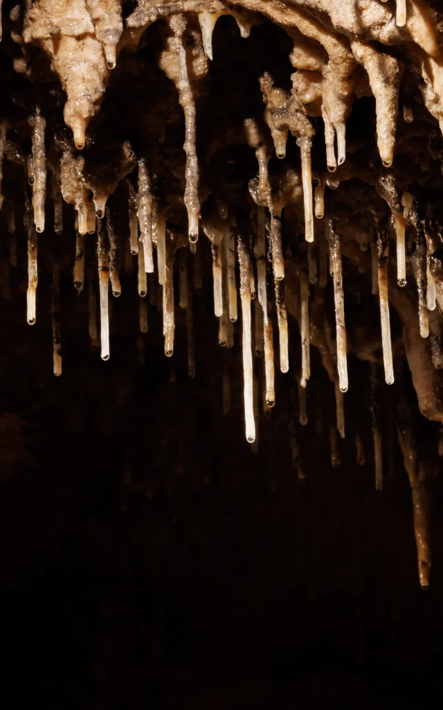 Grotte des Carbonnières