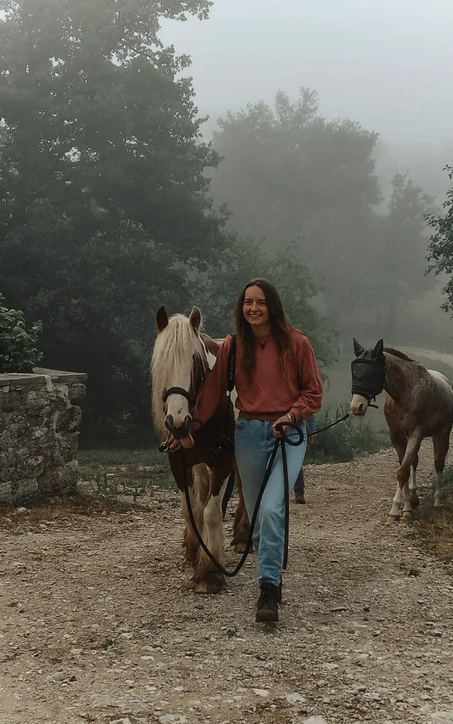 Cheval au pré - Ferme la Petite Famille