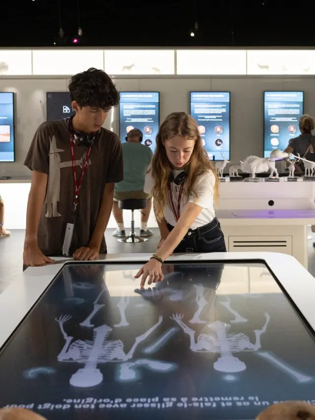 Néandertal, l'homme de La-Chapelle-aux-Saints