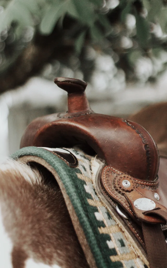 Selle western cheval - Ferme La Petite Famille