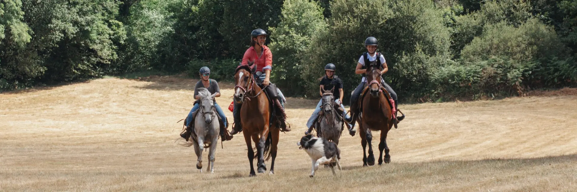 Randonnée à cheval en Corrèze