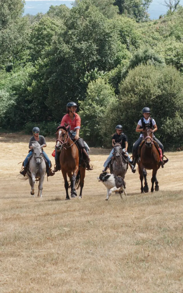 Randonnée à cheval en Corrèze