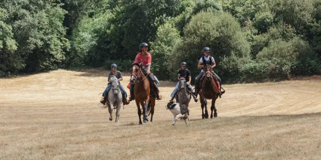 Randonnée à cheval en Corrèze
