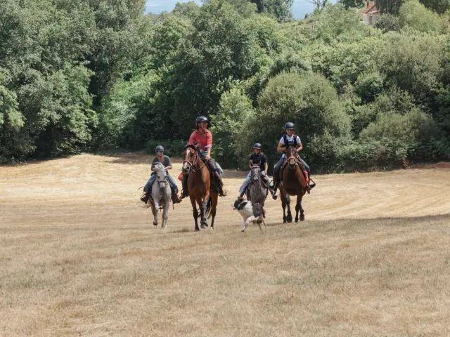 Randonnée à cheval en Corrèze