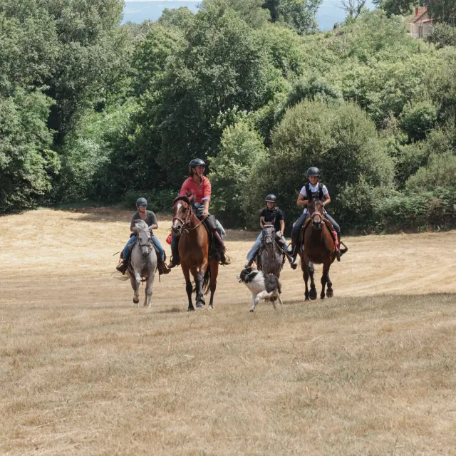 Randonnée à cheval en Corrèze