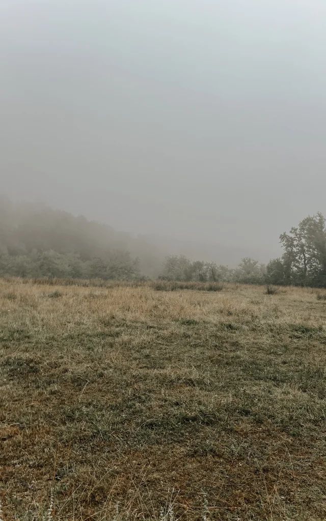 Randonnée à cheval - Ferme La Petite Famille