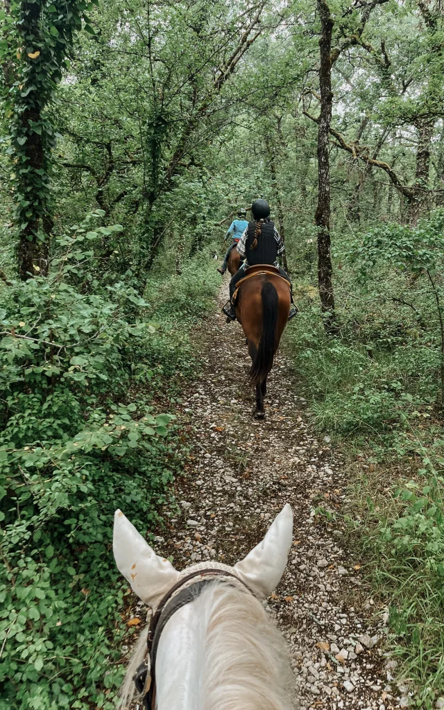 Randonnée à cheval sur piste forestière - Ferme la Petite Famille
