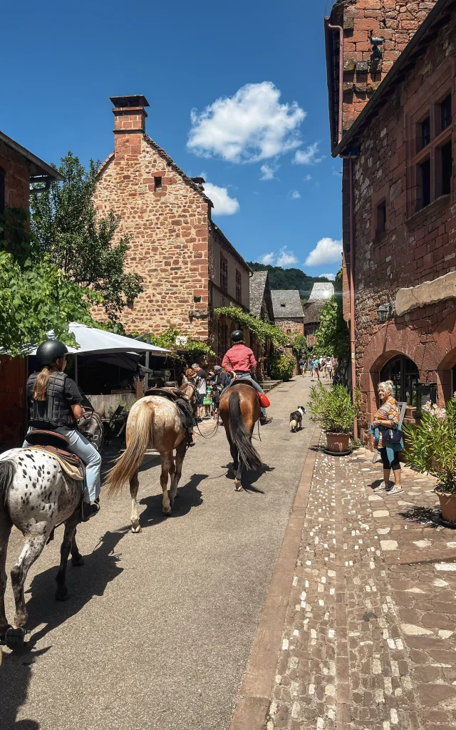 Chevaux à Collonges-la-Rouge