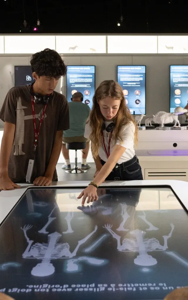 Néandertal, l'homme de La-Chapelle-aux-Saints