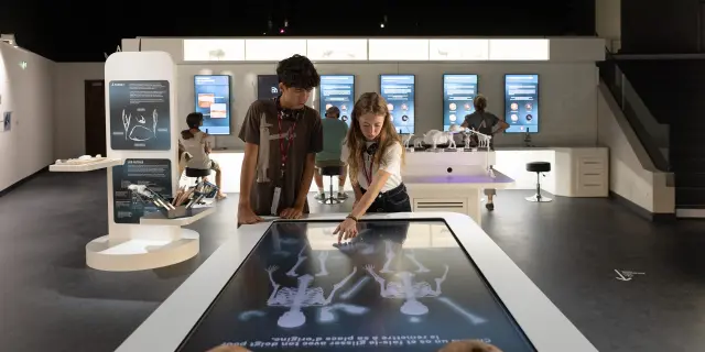 Néandertal, l'homme de La-Chapelle-aux-Saints