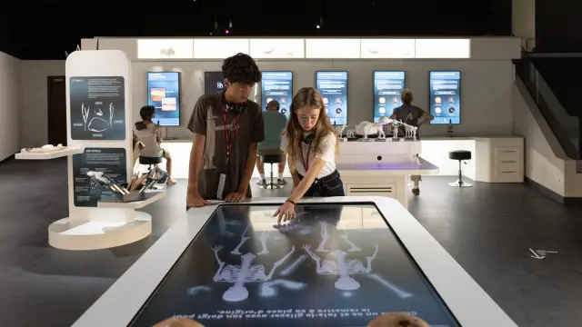 Néandertal, l'homme de La-Chapelle-aux-Saints