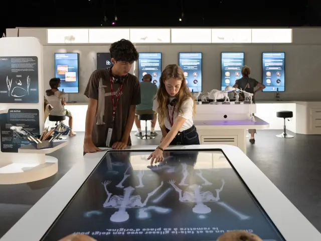 Néandertal, l'homme de La-Chapelle-aux-Saints