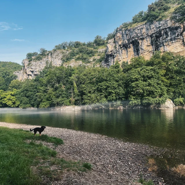 Plage de Gluges avec son chien