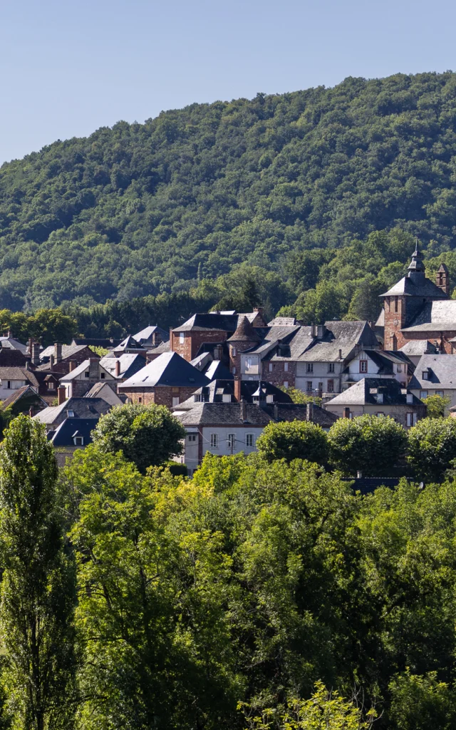 Vue sur le village de Meyssac