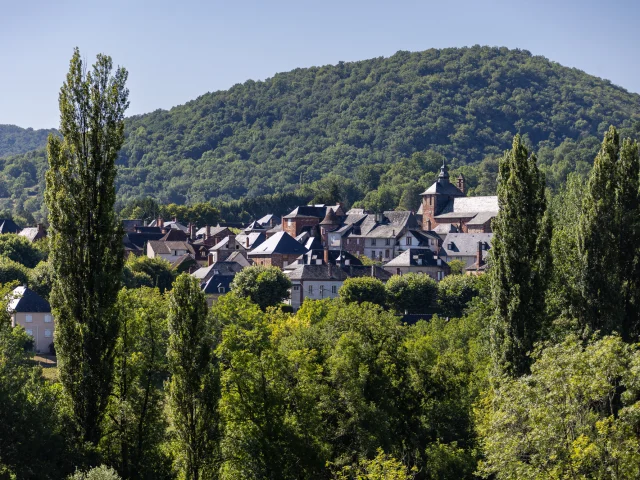 Vue sur le village de Meyssac