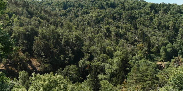Vue depuis le Canal des Moines