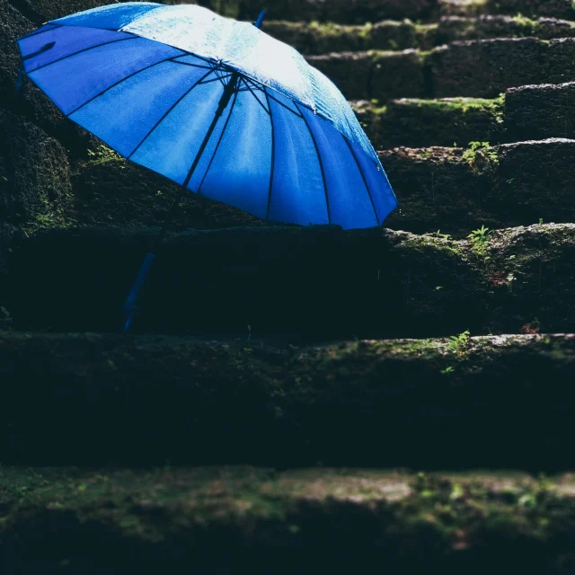 Parapluie