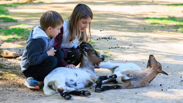 Parc Animalier Gramat