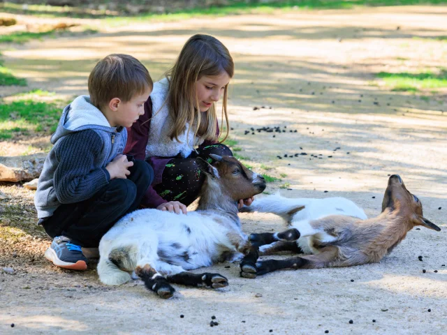 Parc Animalier Gramat