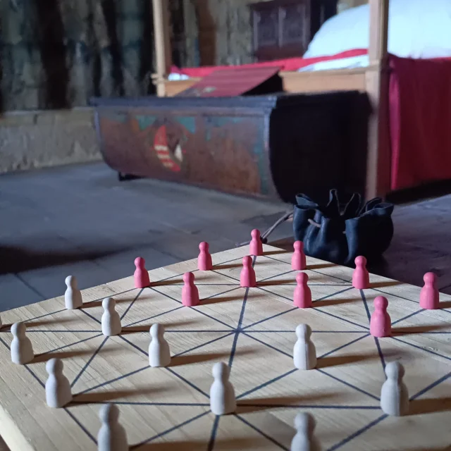 Jeux au Château de Salignac