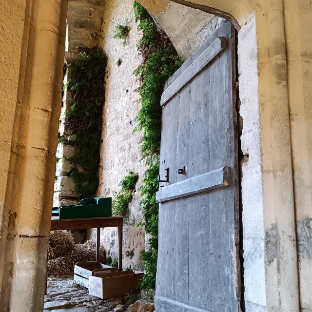 Porche du Château de Salignac